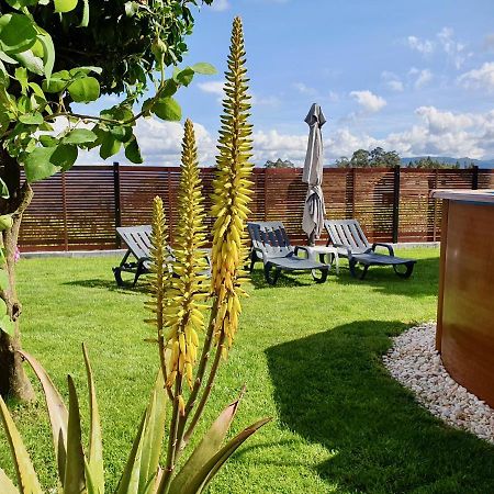 Rosinha Country House Vale de Cambra Ngoại thất bức ảnh