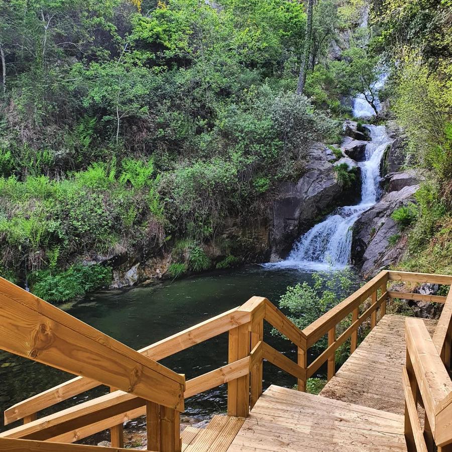 Rosinha Country House Vale de Cambra Ngoại thất bức ảnh