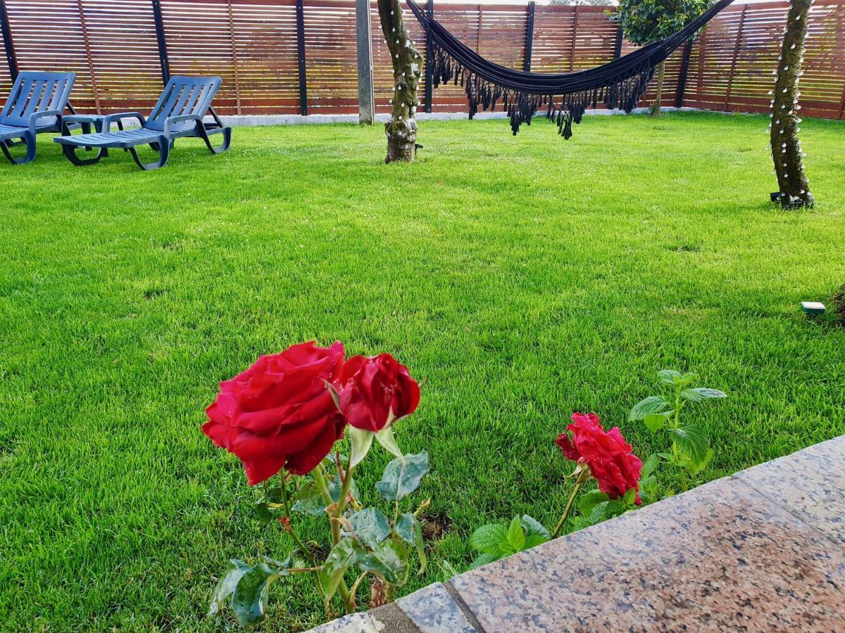 Rosinha Country House Vale de Cambra Ngoại thất bức ảnh