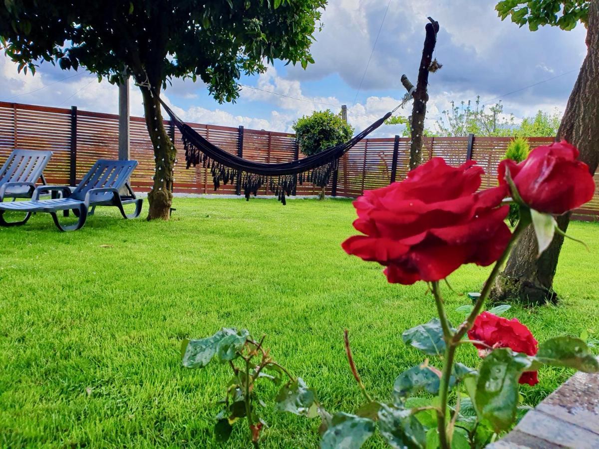 Rosinha Country House Vale de Cambra Ngoại thất bức ảnh
